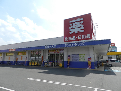 サンキュードラッグ 沼南町店